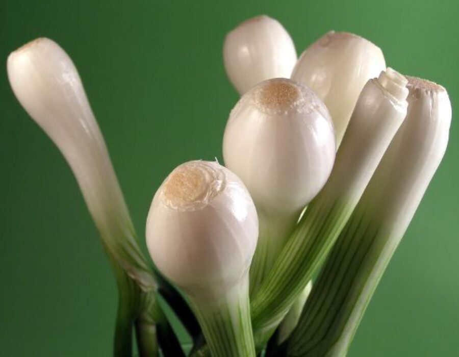 Benefits of green onions