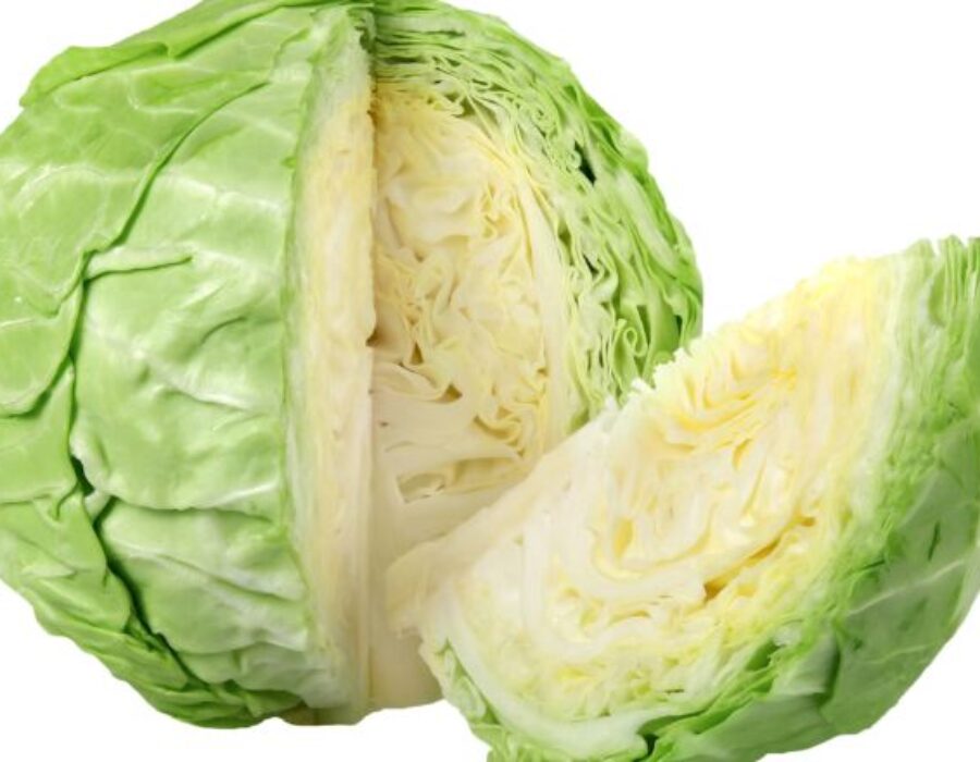 Cabbage: A Nutritional Powerhouse and Its Benefits