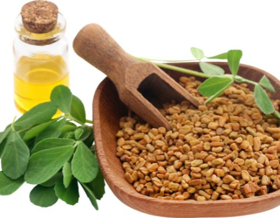 Fenugreek and Its Health Benefits: A Comprehensive Overview