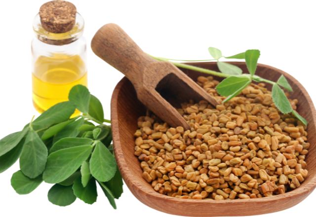 Fenugreek and Its Health Benefits: A Comprehensive Overview