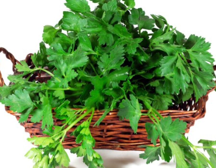 parsley