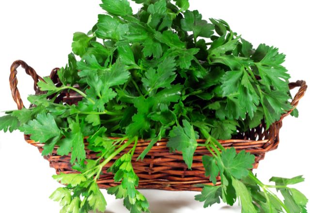 parsley