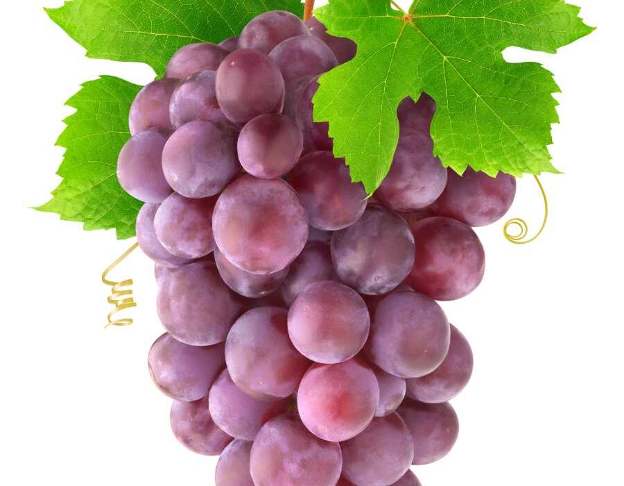 Health Benefits of Grapes: A Nutritious Fruit