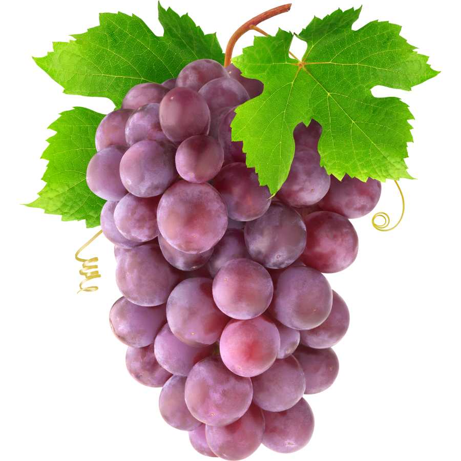 Health Benefits of Grapes: A Nutritious Fruit
