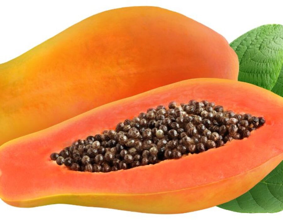 Papaya fruit: many benefits