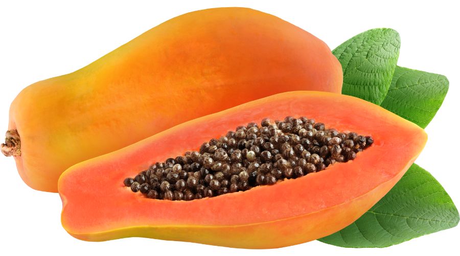 Papaya fruit: many benefits