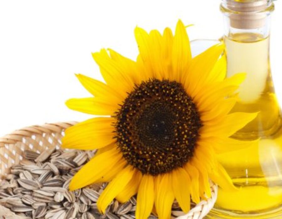 Sunflower oil: useful information