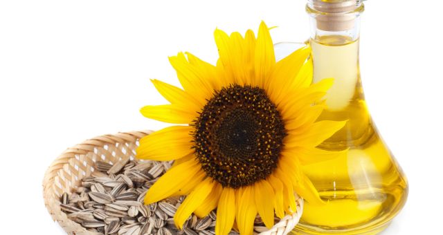 Sunflower oil: useful information