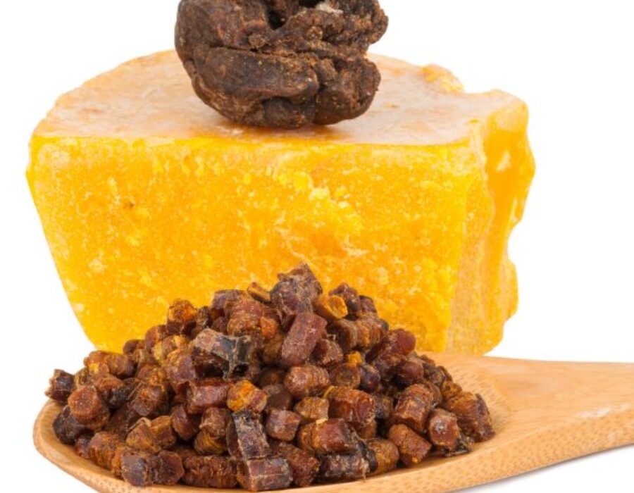 Benefits of propolis bee glue