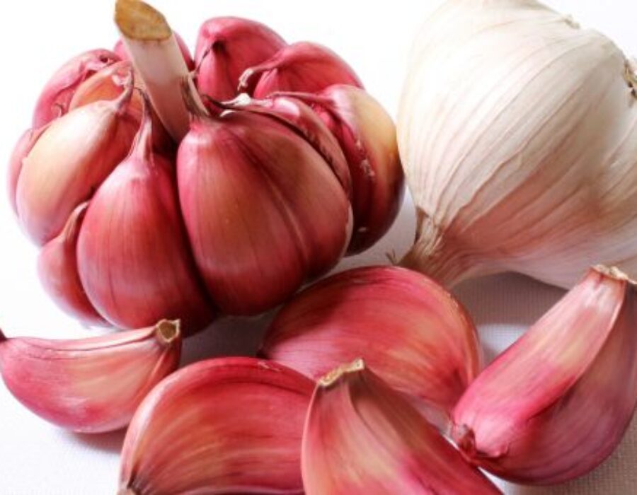 The most important health benefits of garlic