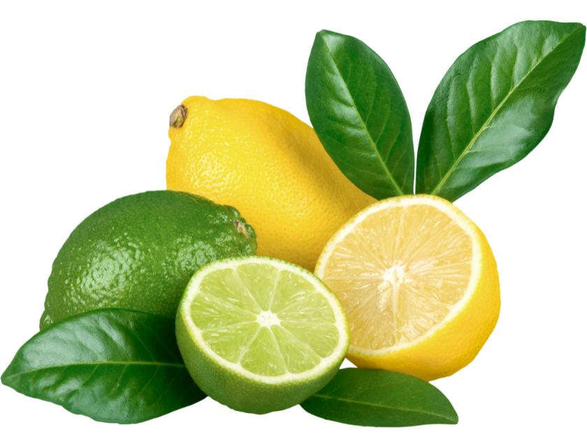 Lemon, its benefits and uses