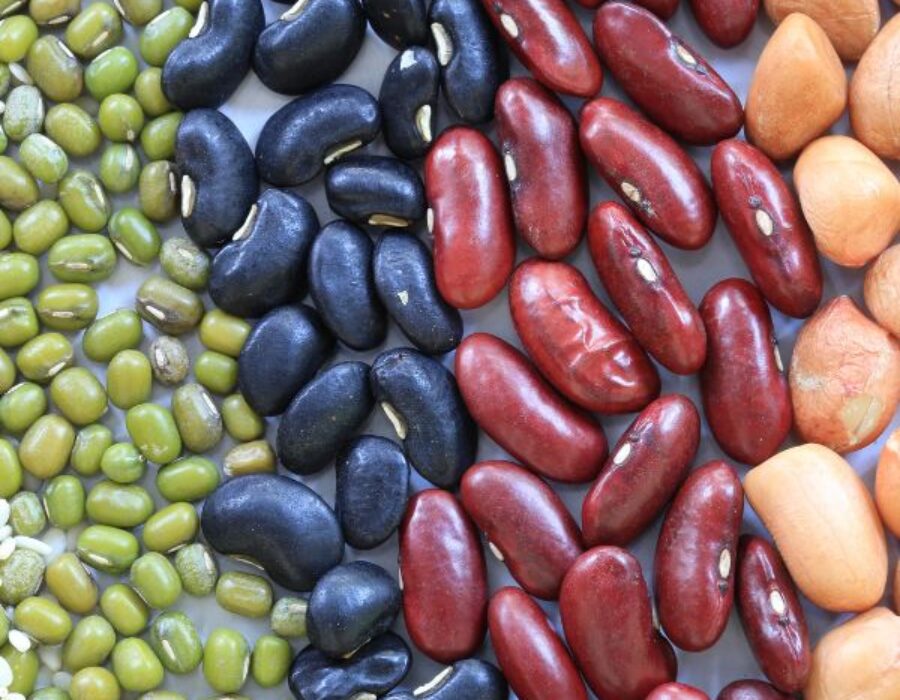 Legumes and their benefits