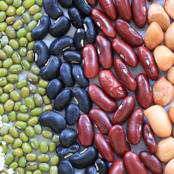 Legumes and their benefits