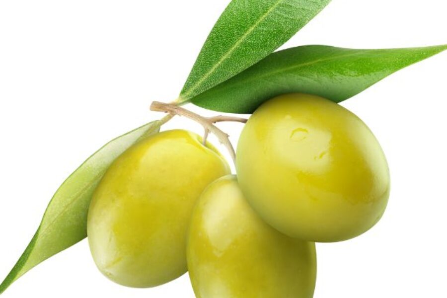 Olives and Their Benefits